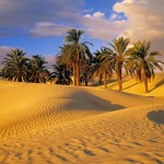 djerba-deserto1